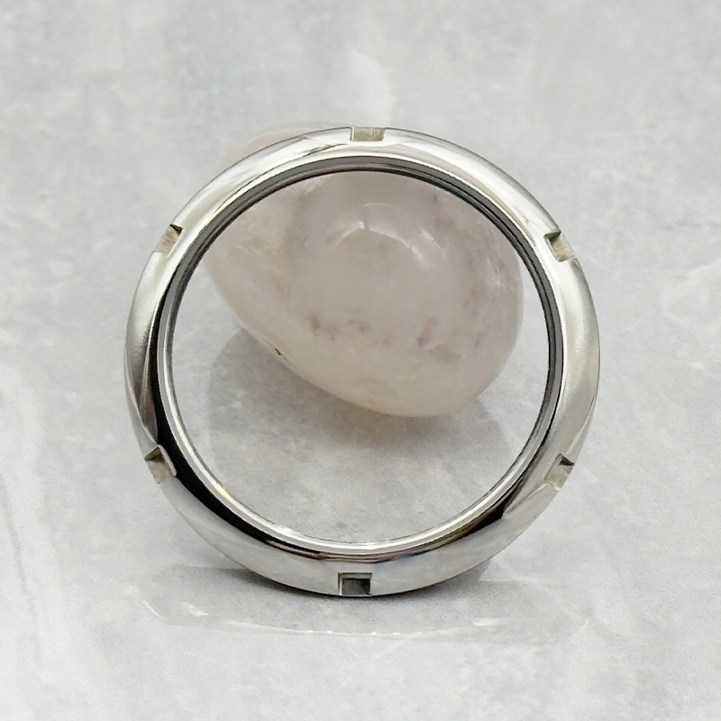 Mod Transparent Glass Watch Ca - Reel Case review and price